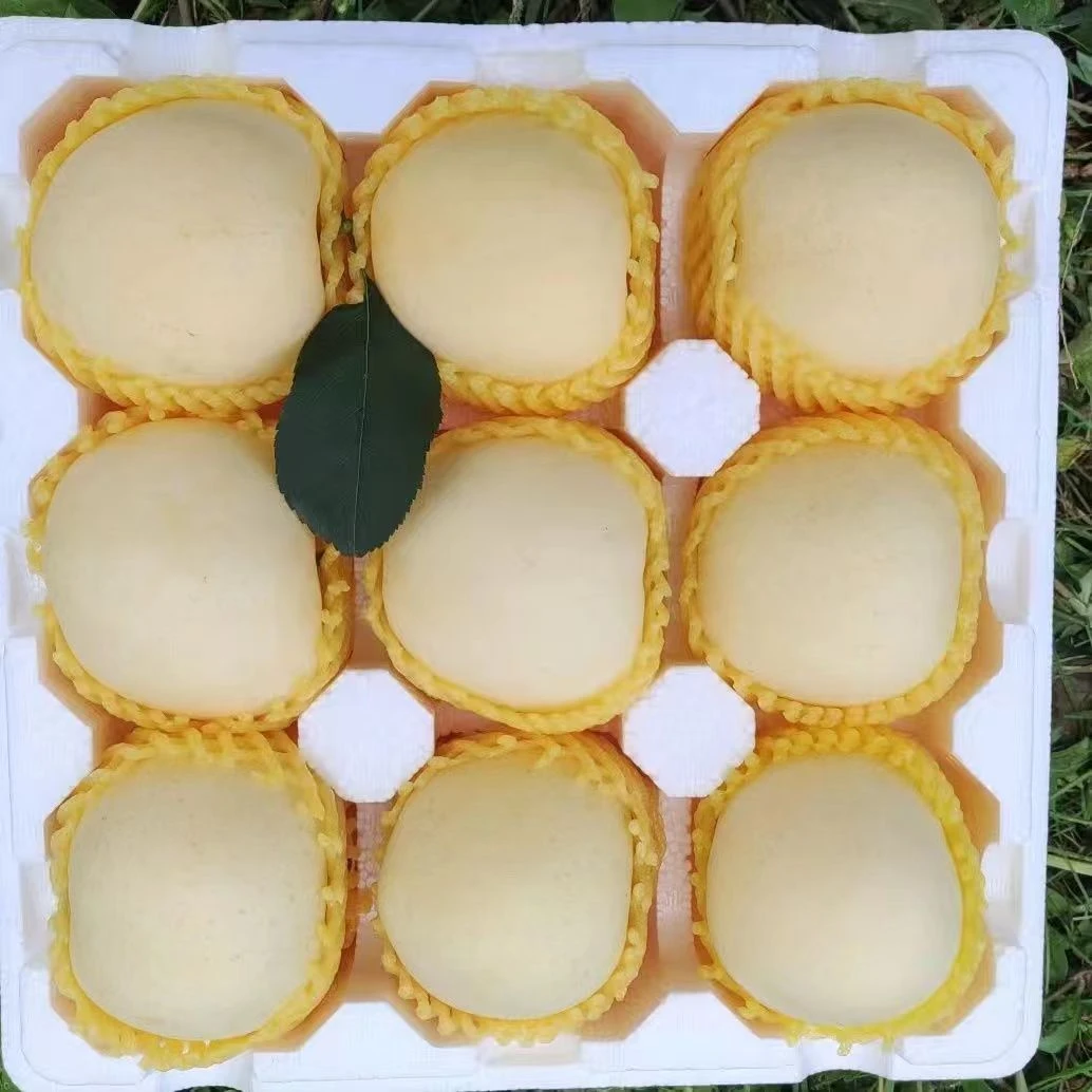 【山东奶油苹果】奶油苹果现采现摘清脆爽口多汁净重3/4.5斤装