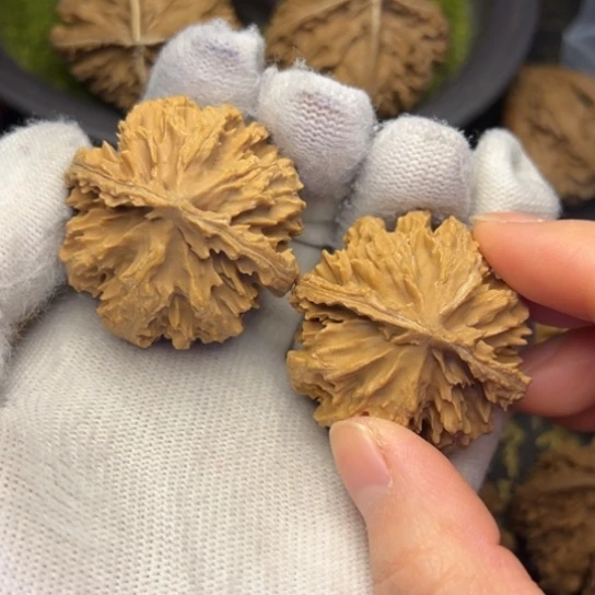 文玩核桃把件秦岭核桃3