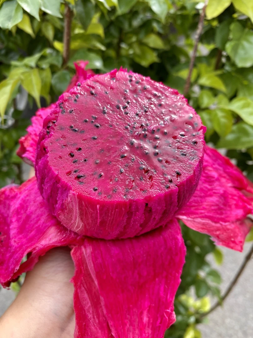 真蜜宝火龙果5颗精品果新鲜清甜顺丰京东包邮