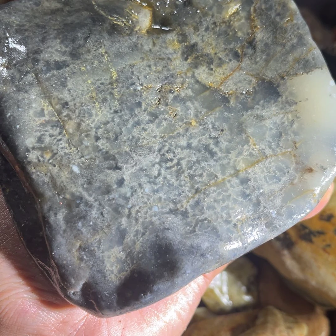 敩***之寿山石888888888888888