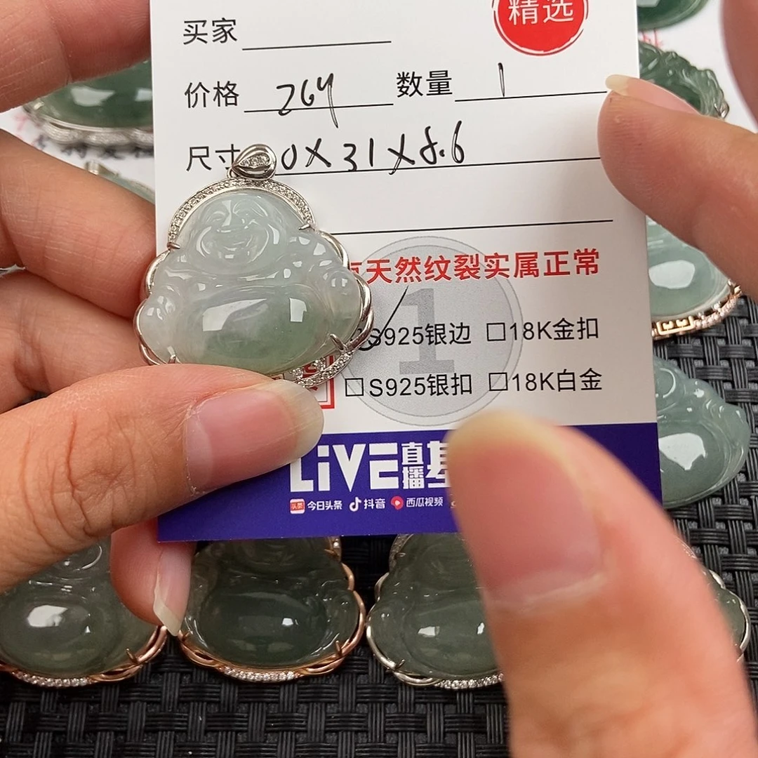 翡翠银S925镶嵌颈饰