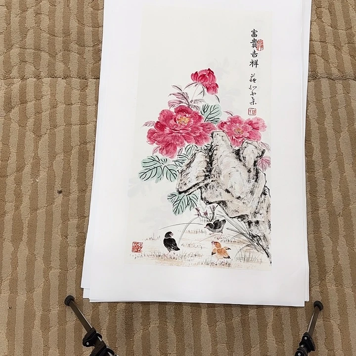 国画花鸟等多种鸟类的栖息地和