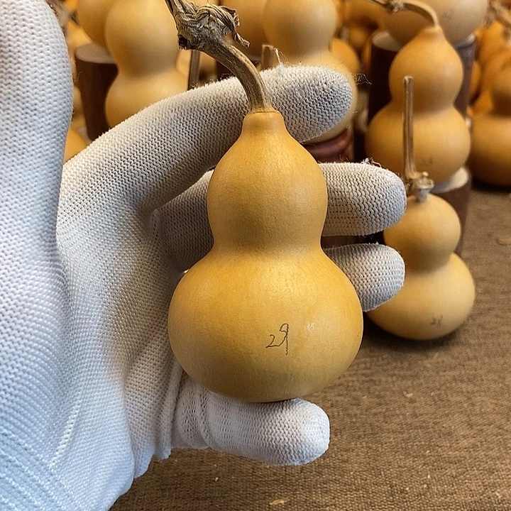 文玩葫芦 完美主义者 慎拍29