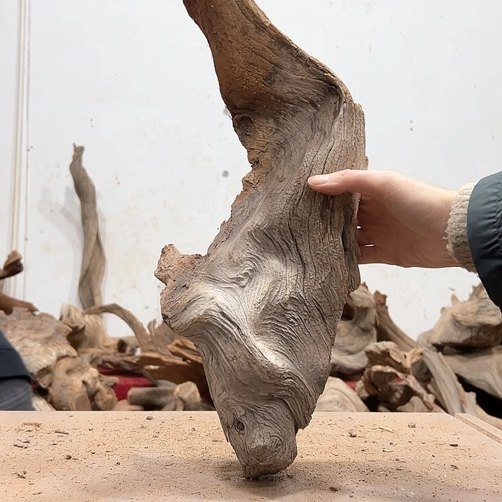 柏木山****王我们的生活也是如此的丰富