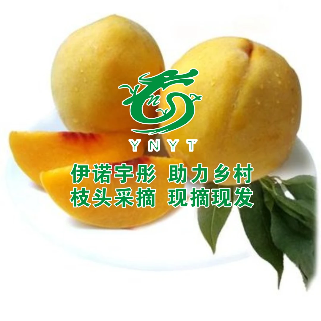 助力农村伊诺宇彤陕西礼泉锦绣黄桃新鲜水果香甜多汁蜜香味浓郁