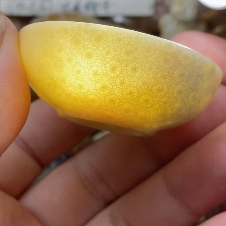 颈饰未镶嵌硅化珊瑚（珊瑚玉）