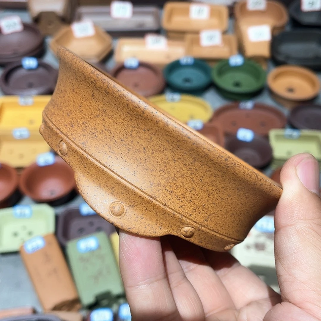 紫砂小盆9*2.5cmmmm