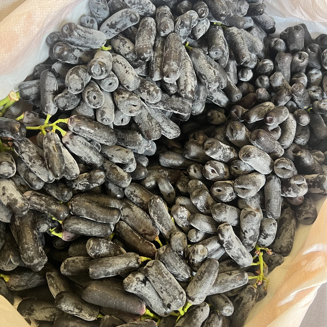 金手指葡萄脆甜无籽蓝宝石美人指新鲜水果当季应季云南省