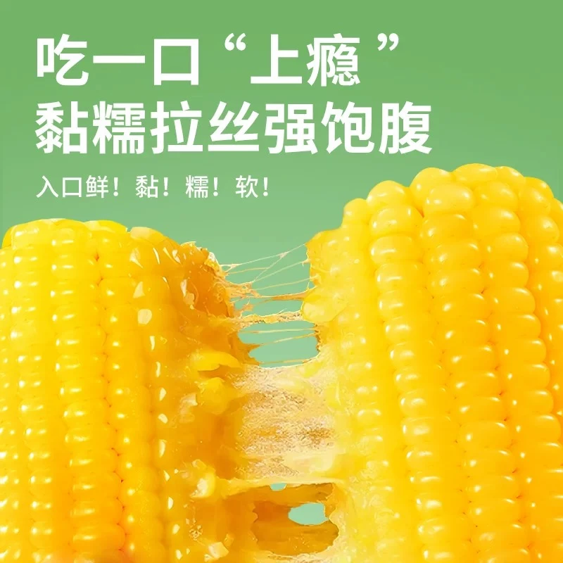 正宗新疆头茬新黄糯玉米软糯香甜真空锁鲜开袋即食单根300克