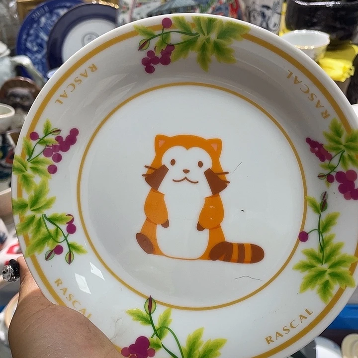 19.9包邮新疆西藏不发货5