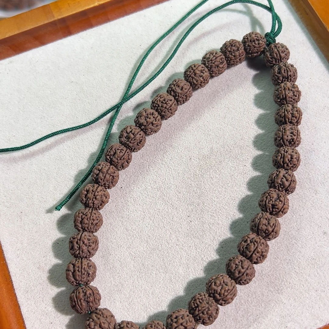 手串金刚菩提老树梅花小金刚手持11+