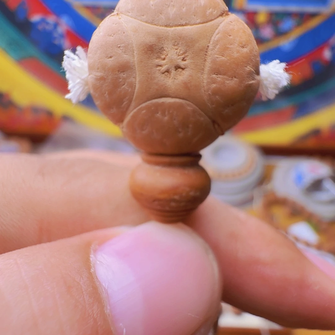 一***花21梅花麒麟，一物一图