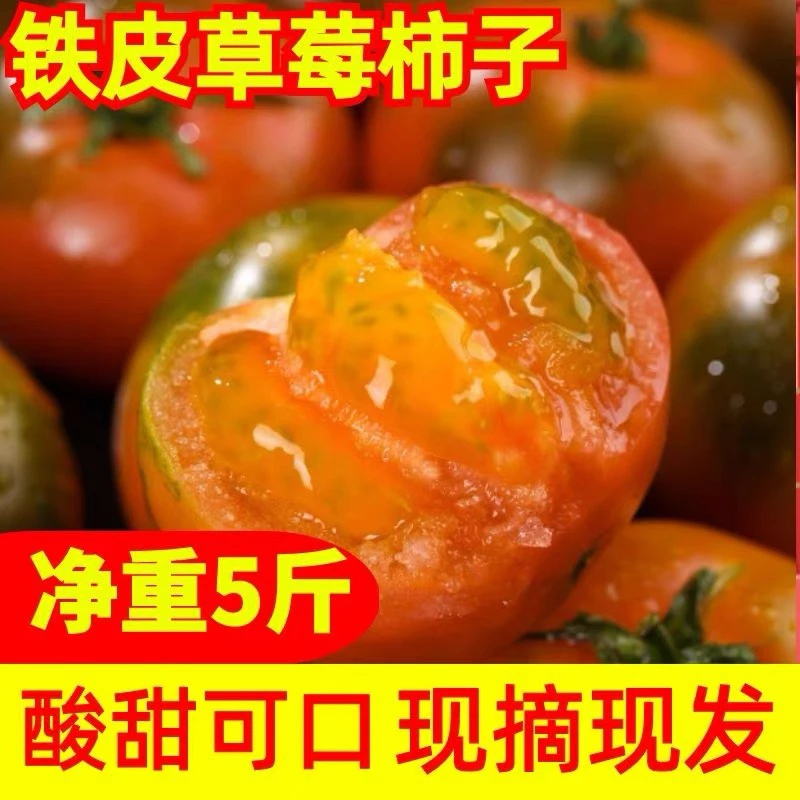自然熟露天种铁皮柿子草莓西红柿口感番茄5斤现摘铁皮柿子生吃
