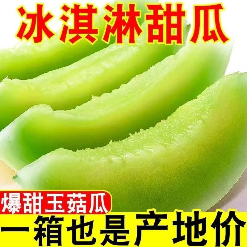 班骞臻选玉茹蜜瓜产自新疆吐鲁番火焰山脚下