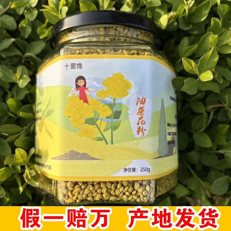 2025新鲜高原油菜花粉 营养健康无杂质阳光晒干精品花粉1瓶250g