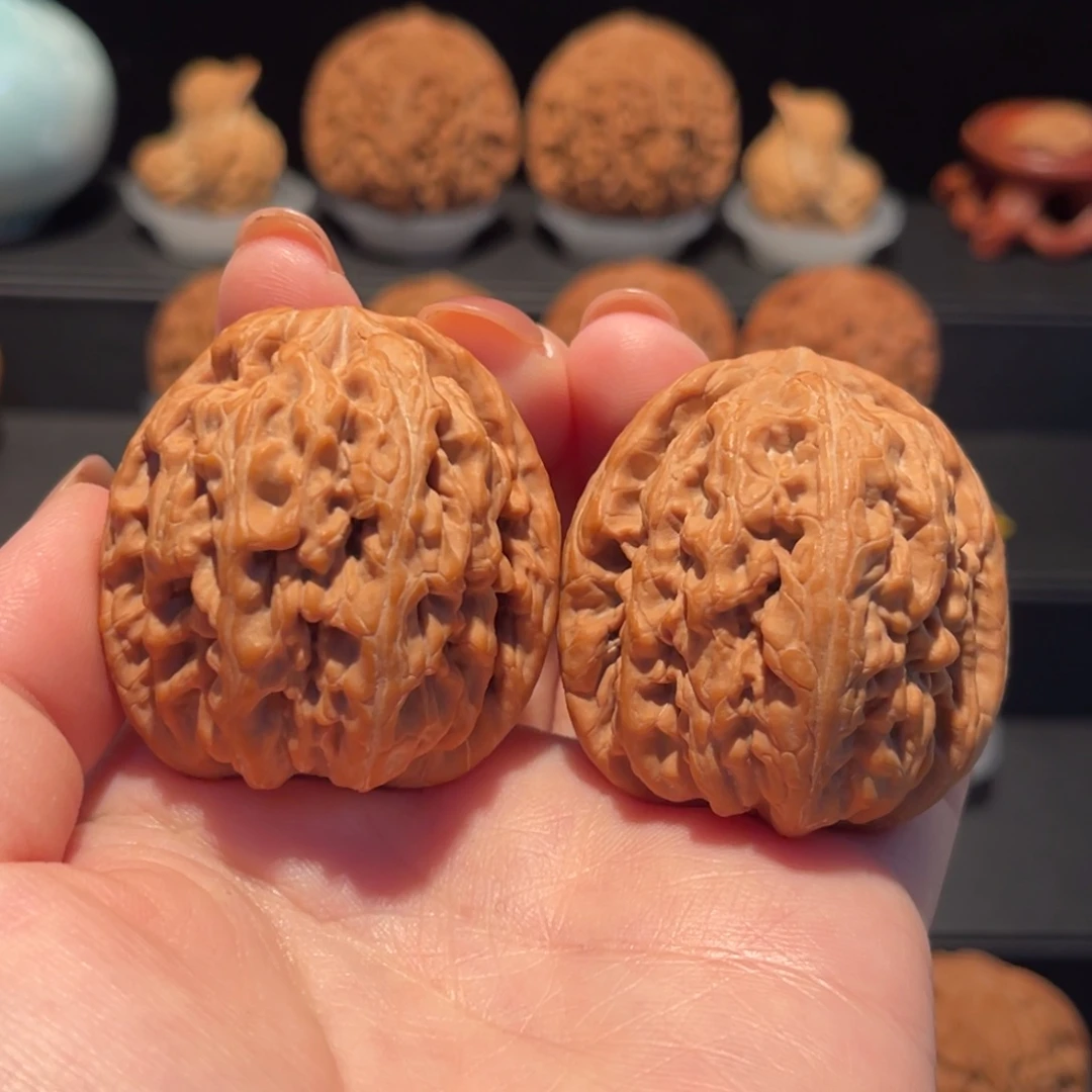 ◆***起红锦鲤41精品，全品544