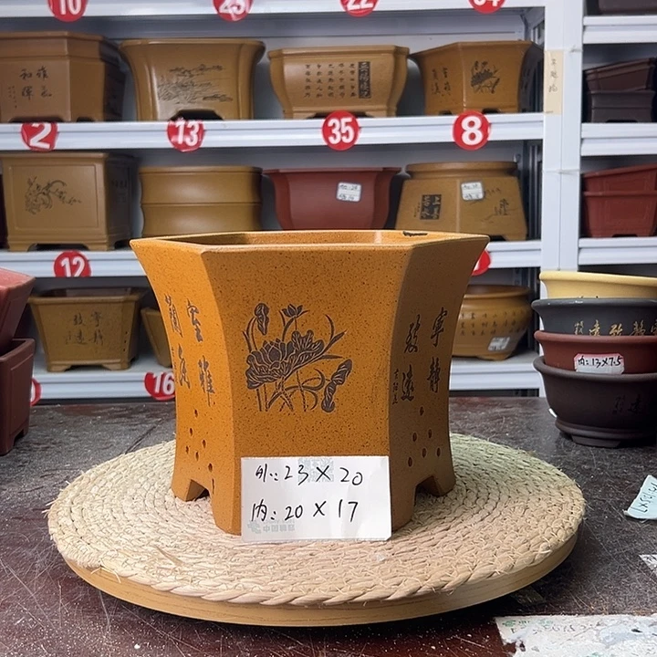 紫砂花盆蛇年大吉