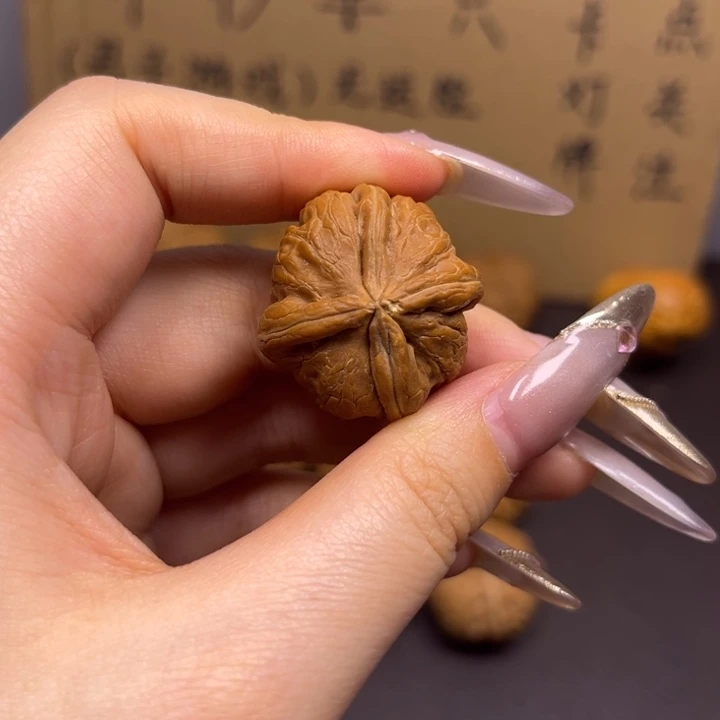 齐***齐菩提籽类元宝单只异型有瑕