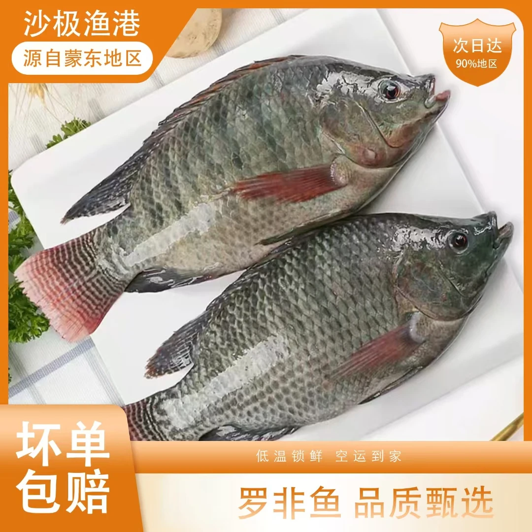 鲜活罗非鱼福寿鱼活体淡水鱼肉质鲜美肉食鱼