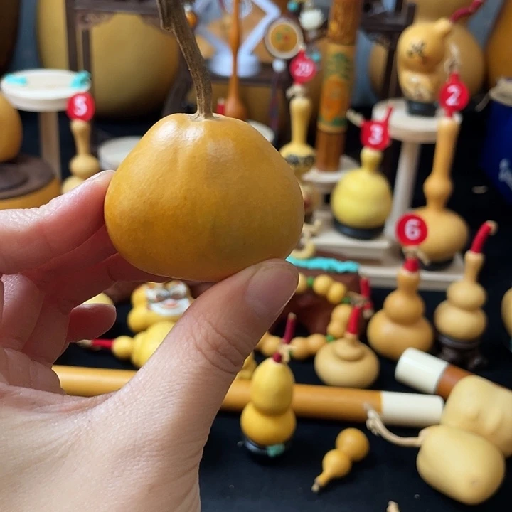 染*堂葫芦丝老师在讲英语课