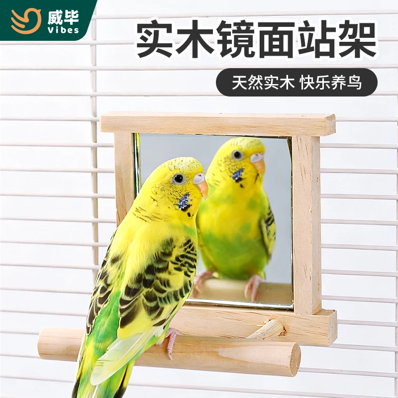 鹦鹉镜子站架玄凤牡丹虎皮站棍站杆站棒鸟笼造景玩具用品木质