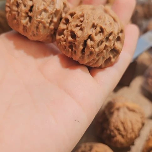 文玩核桃吊坠36血麒麟