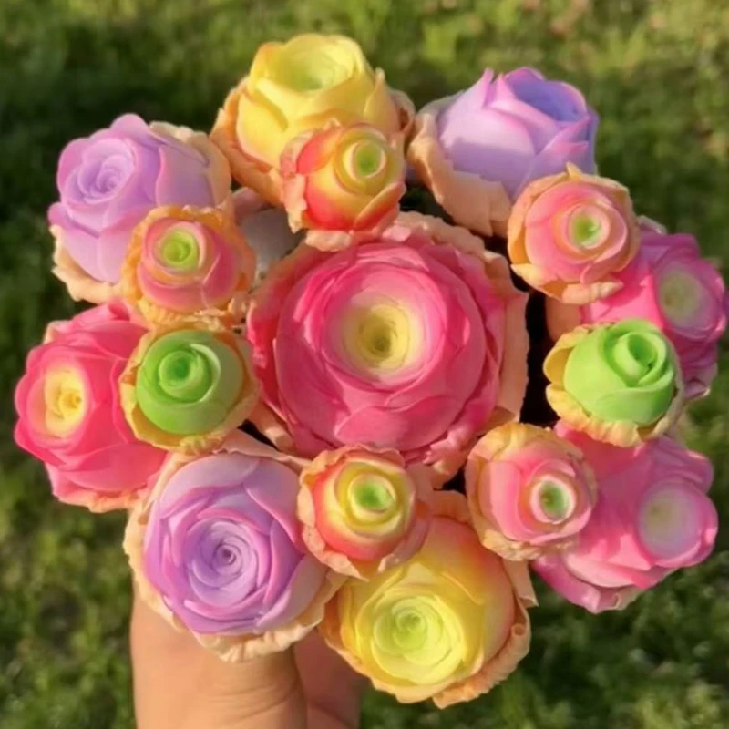 进口彩色山地玫瑰多肉多头盆栽室内阳台办公室好养防辐射