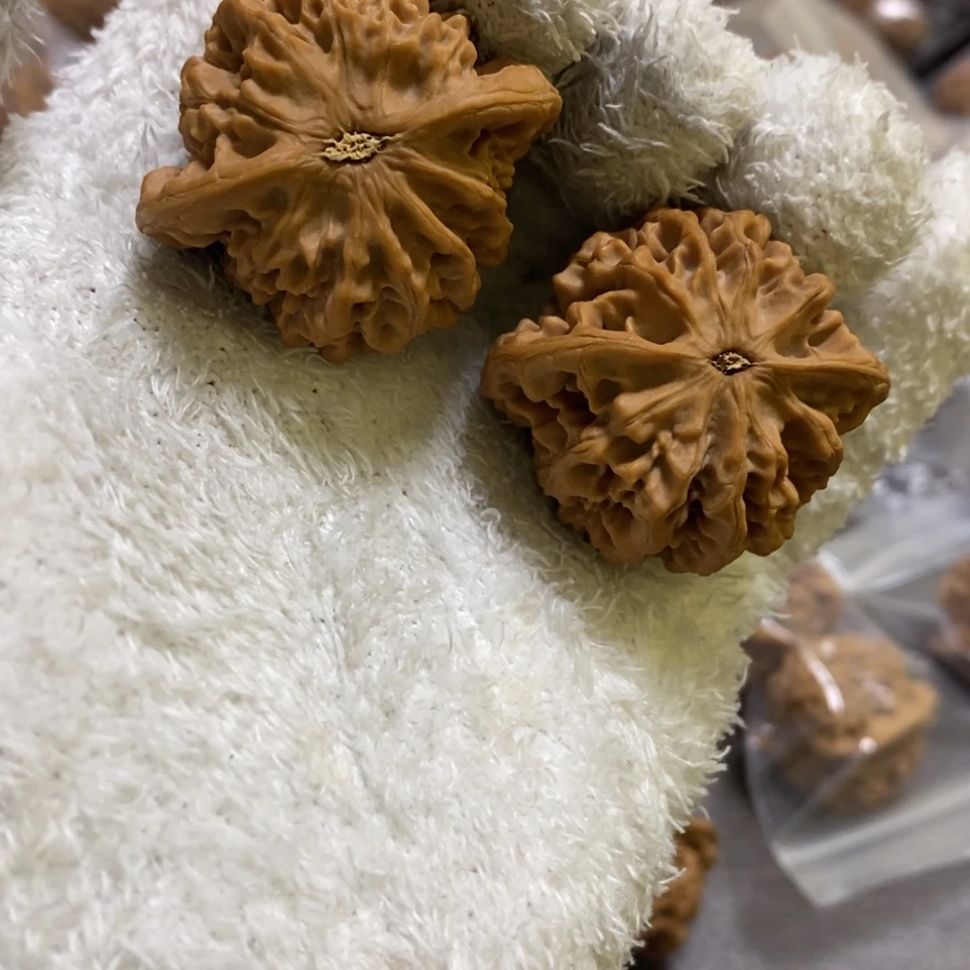 秦岭南侧和东北秦闷