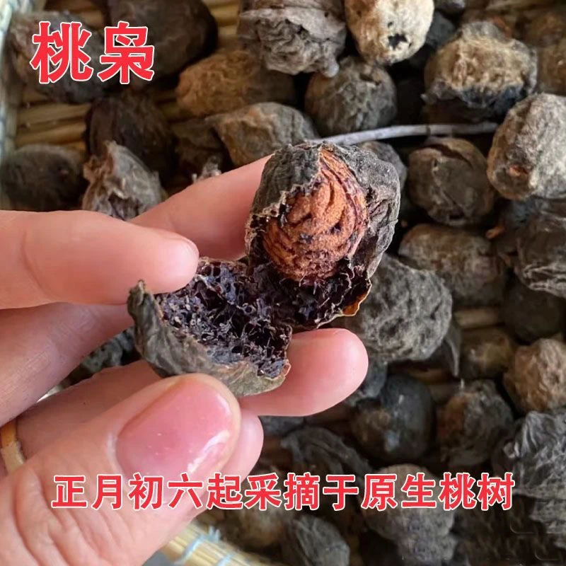 正宗桃枭正月桃枭桃核恋枝桃东南枝采摘野山毛桃核手串吊坠饰品