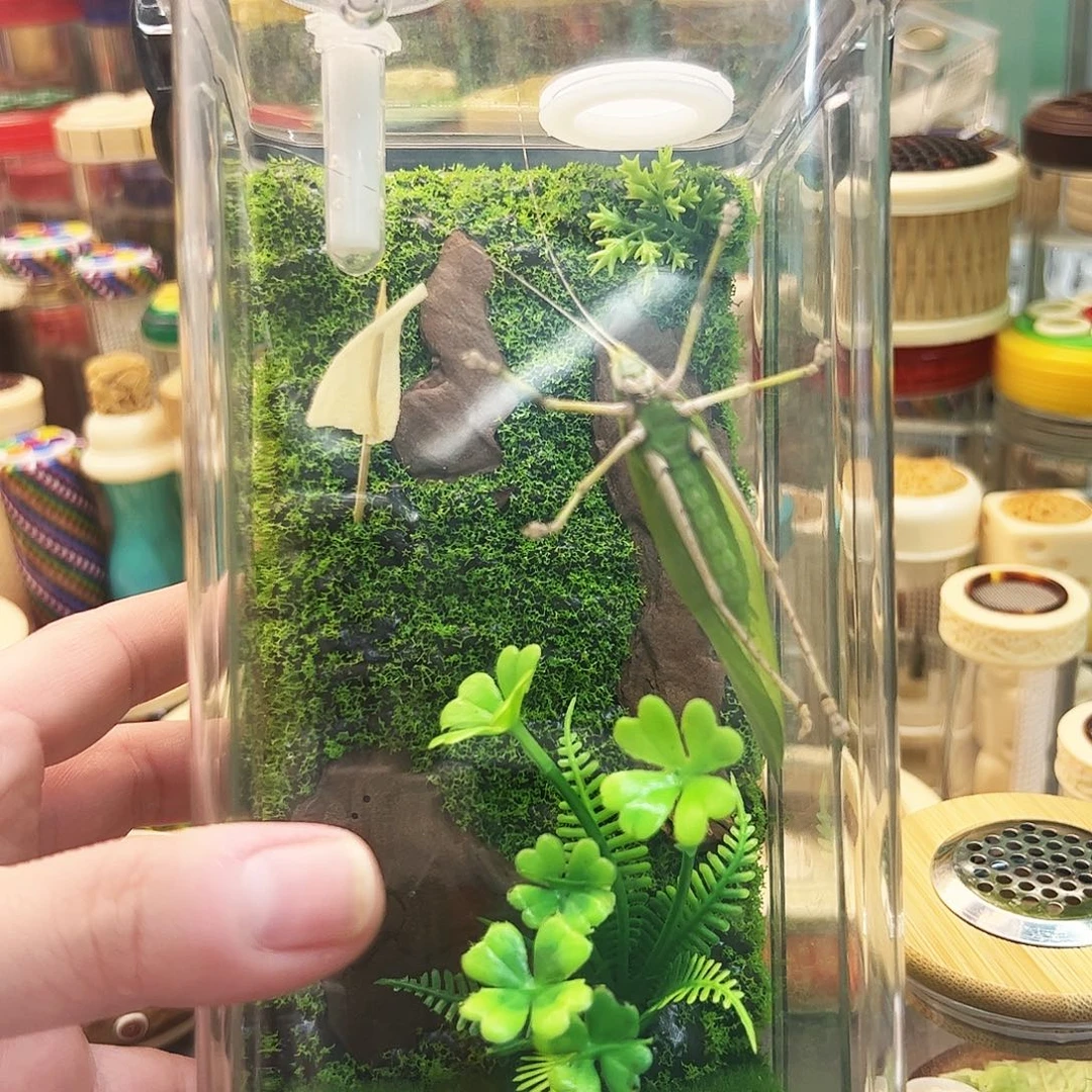 素背套装啊啊哈哈哈哈哈哈哈哈哈