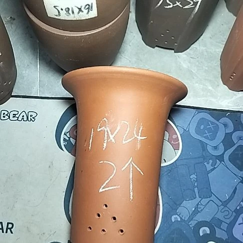 大红兰花两个花盆