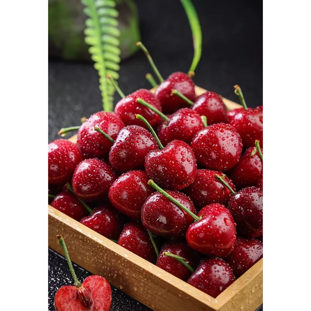 【大连大樱桃】 采摘到发货不超24小时  2J～5J  净重1.8斤美早