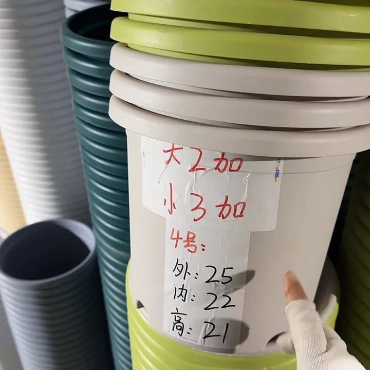 四季4#口径25果绿8个无托