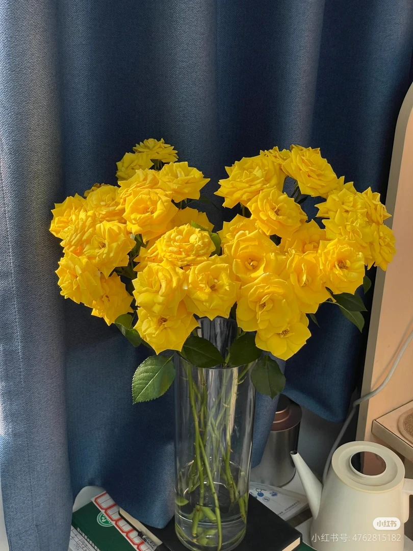 【牛马家】晴天多头玫瑰泡泡-鲜花家养水养插花装饰花材