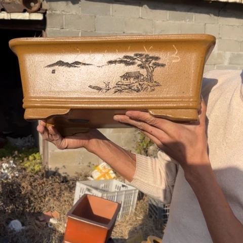 紫砂花盆特价包邮送盒