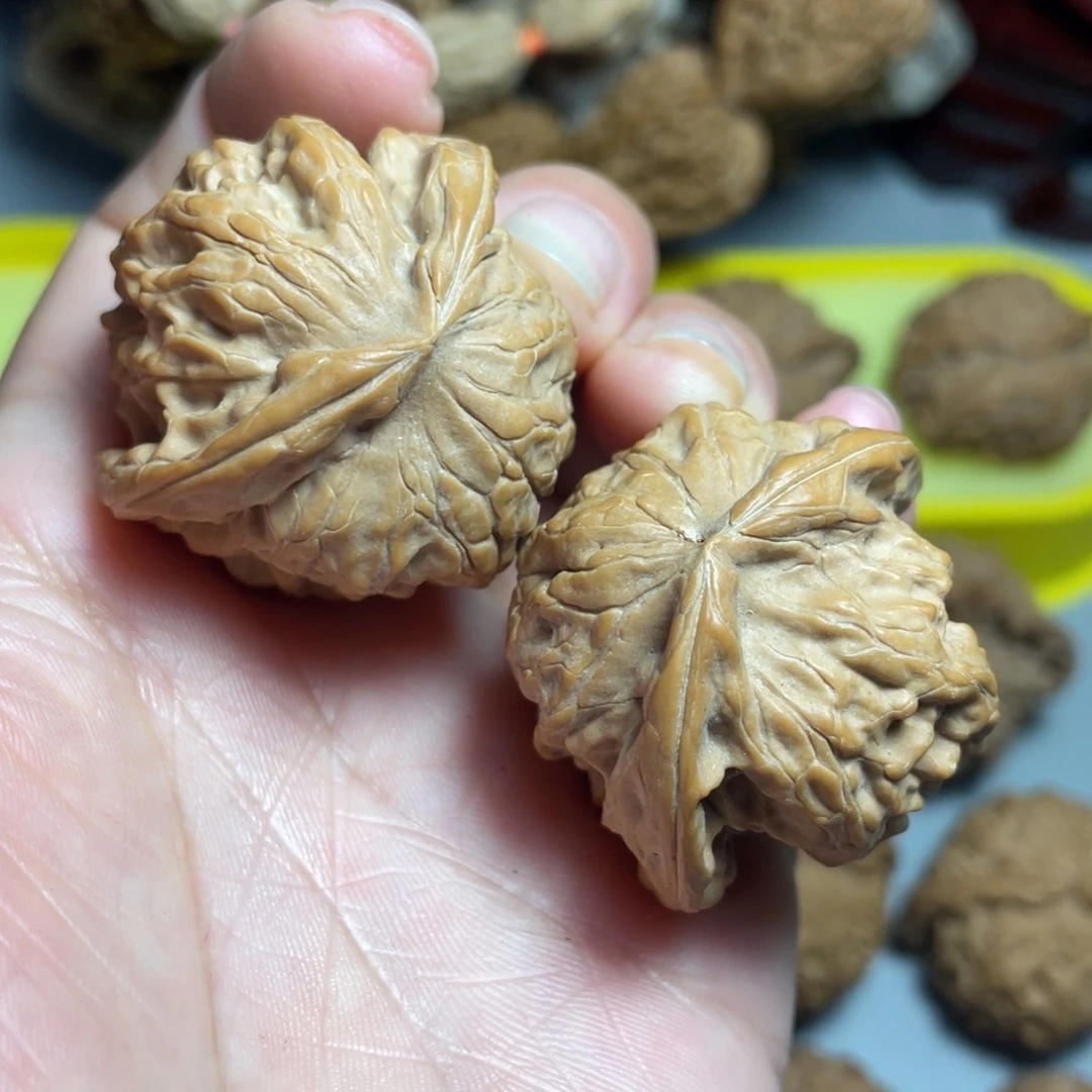 核桃手串/手链精品磐石飞蛇