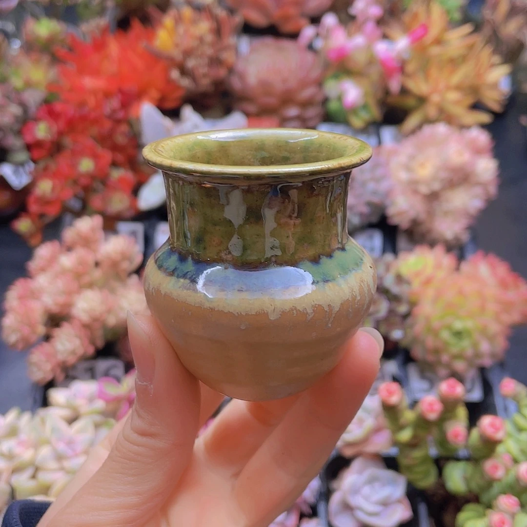 花钱花钱花钱花钱花钱