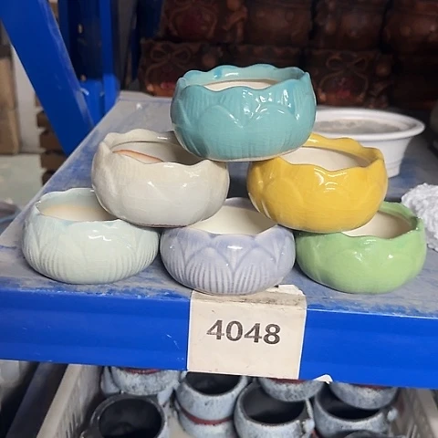 6个····全是福利····