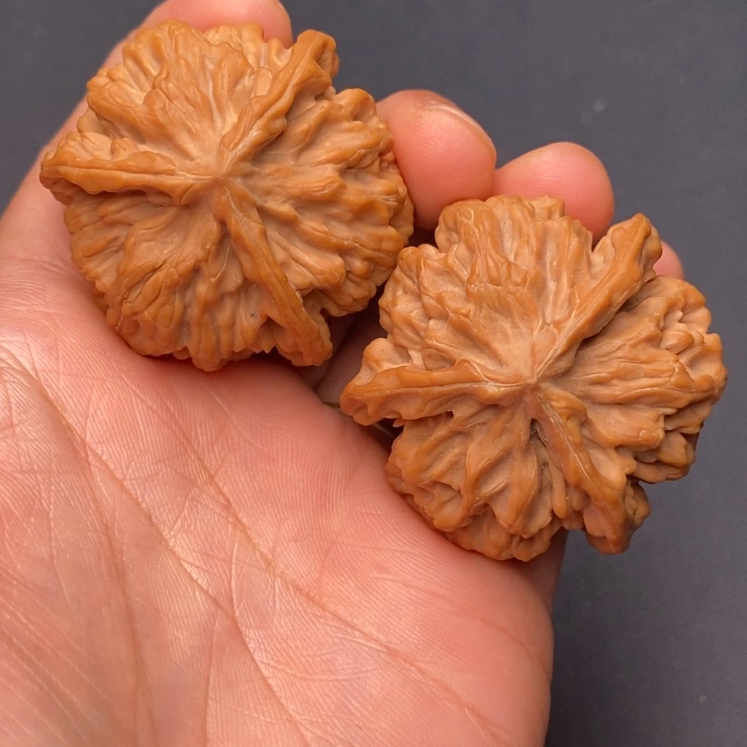 把件文玩核桃秦岭野生植物资源