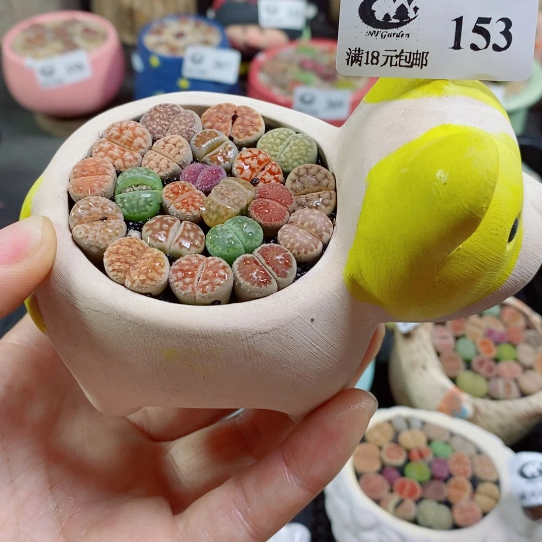 生出孩子们要求自己做家务。生153