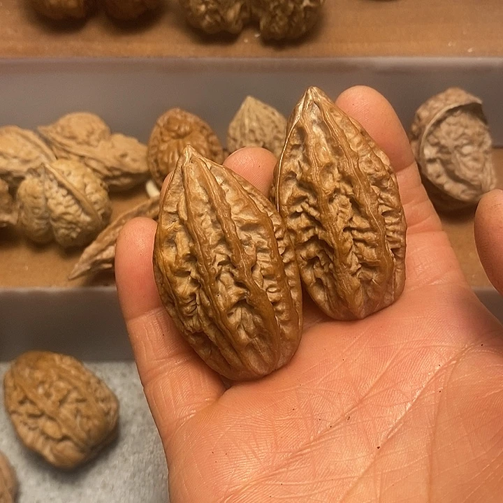 文玩核桃吊坠不错