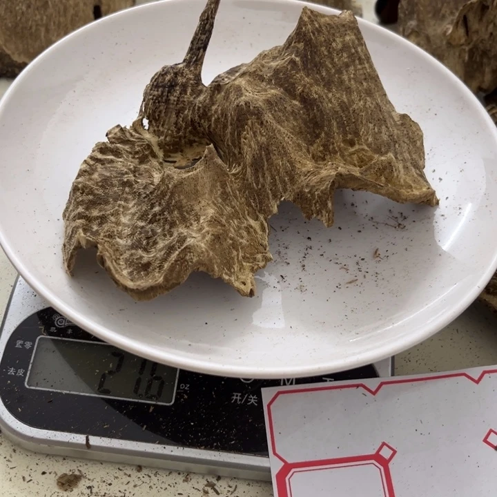 沉香沉香木制品云*像海南壳子21克