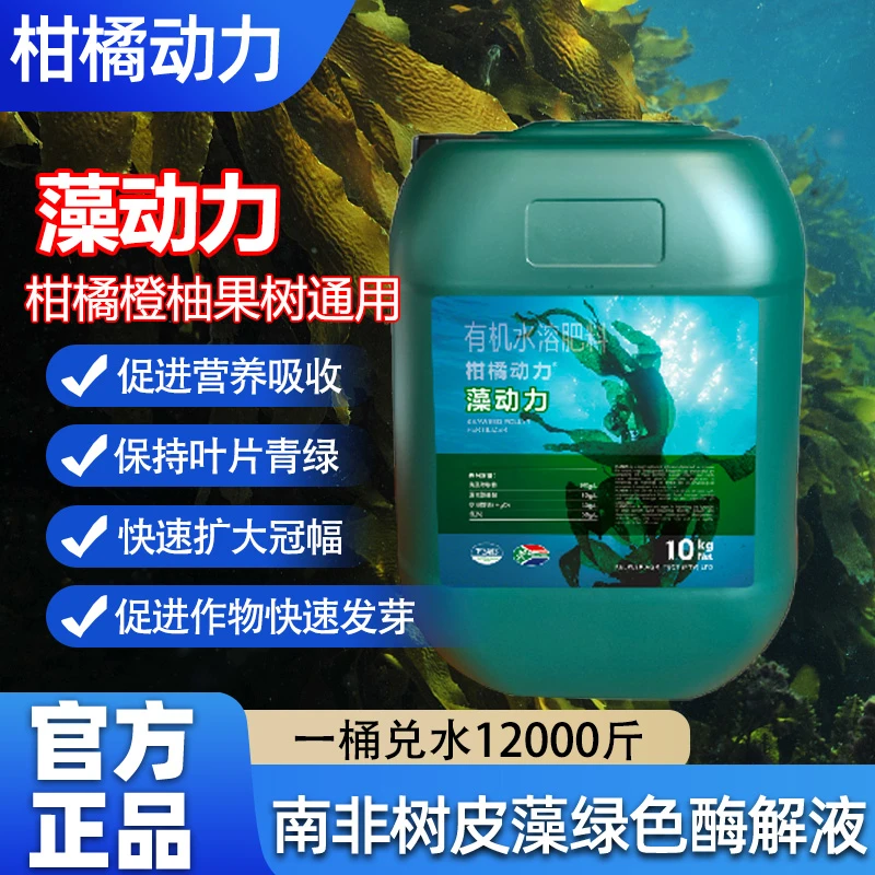 柑橘动力藻动力促进营养吸收保持叶片青绿快速发芽扩大冠幅