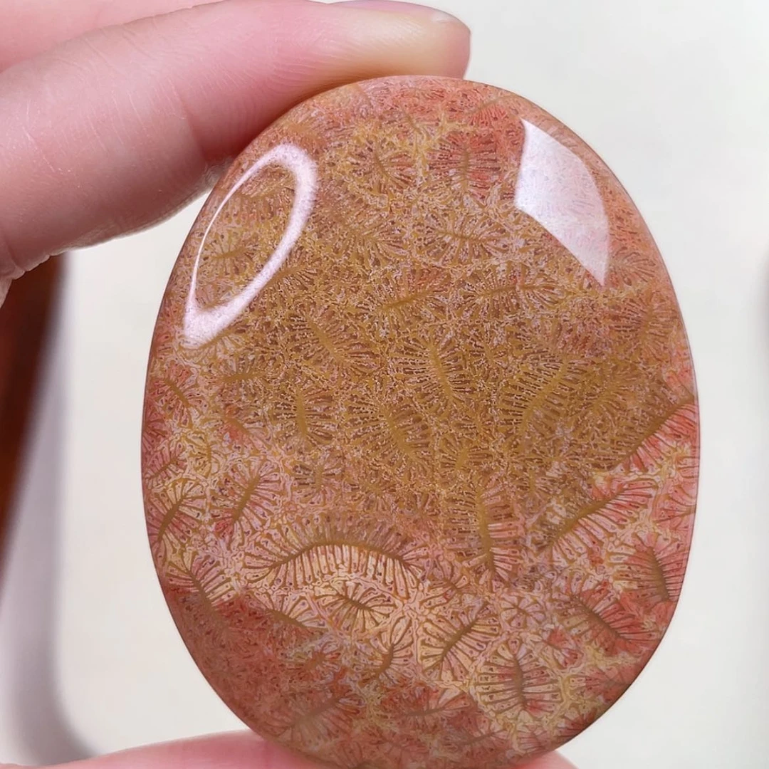 【闪购商品】硅化玉吊坠(赠链)未镶嵌