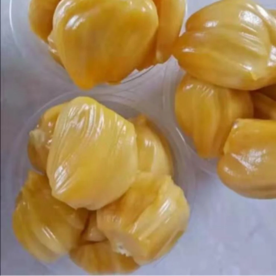 菠萝蜜果苗菠萝蜜树菠萝树高端品种果树苗一物一拍-安然绿推园林