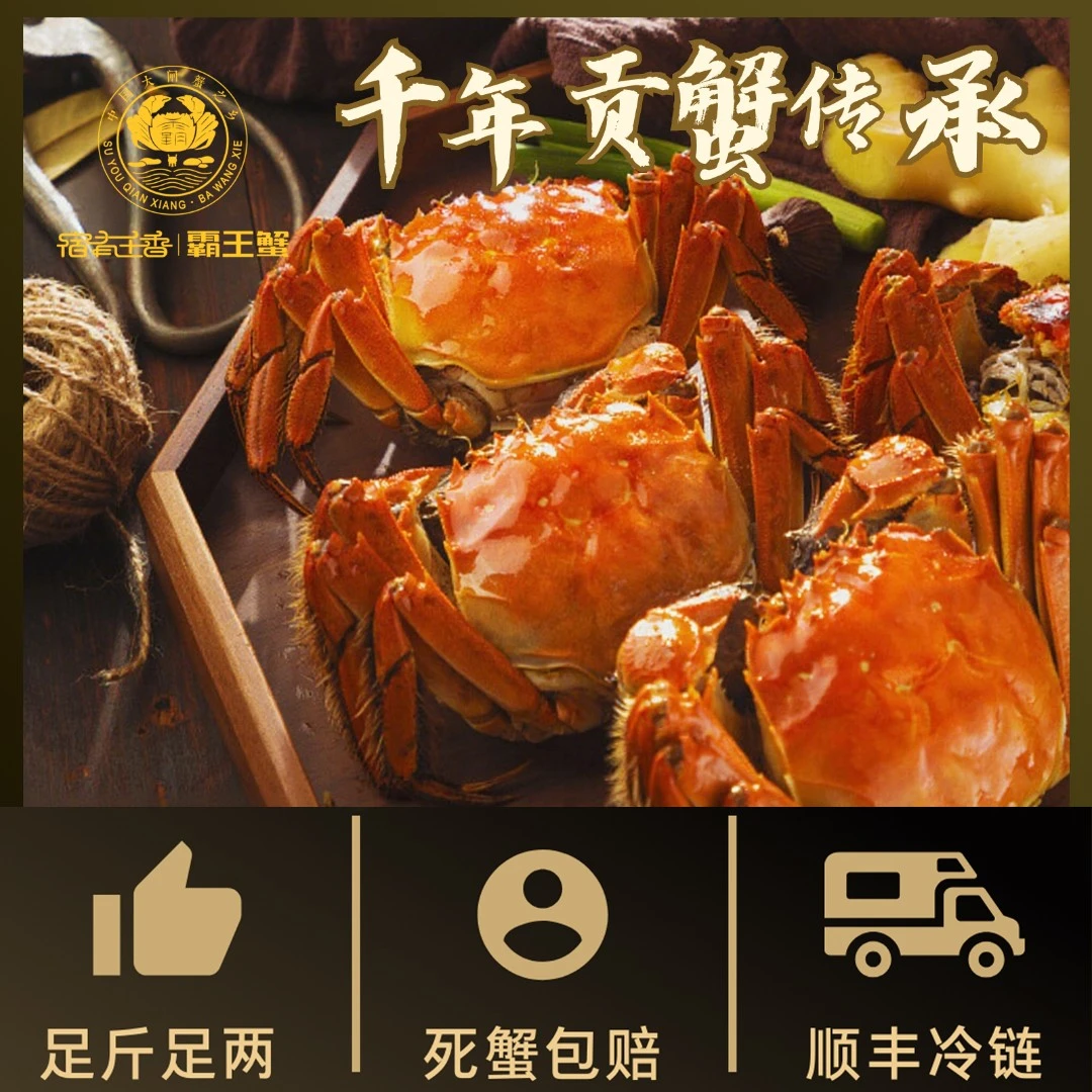 【活蟹】霸王蟹精品大闸蟹2-2.4两母蟹8+2到手10只活蟹现发