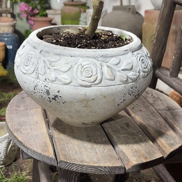 许纯的花房 玫瑰感谢