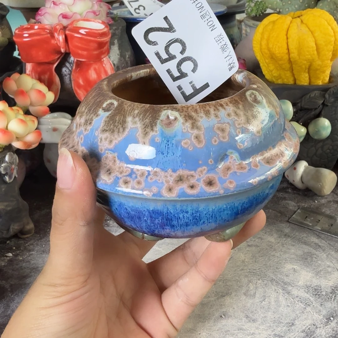 重庆小燕子欢迎大家552