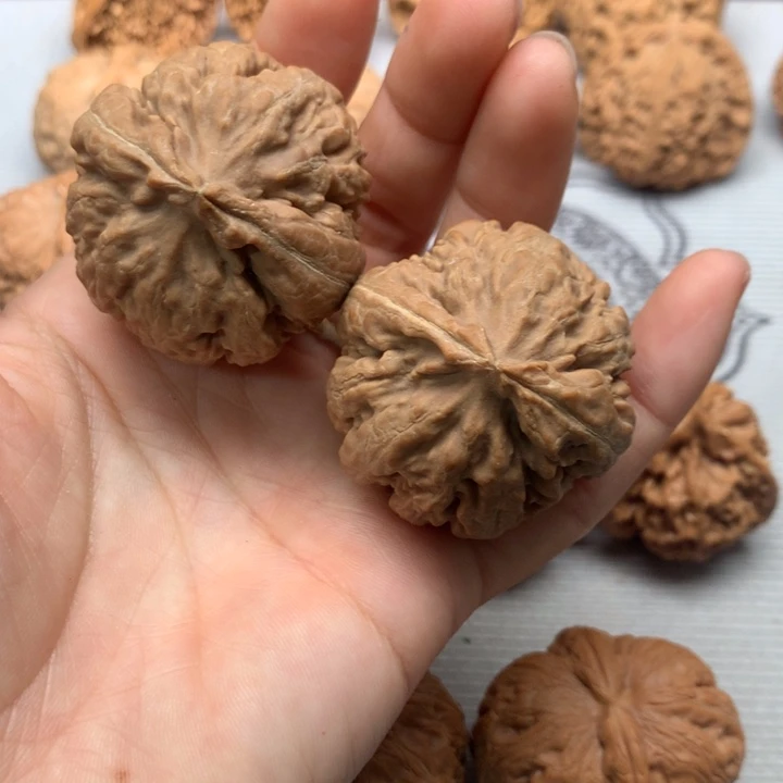 游***理把件文玩核桃霸王龙40