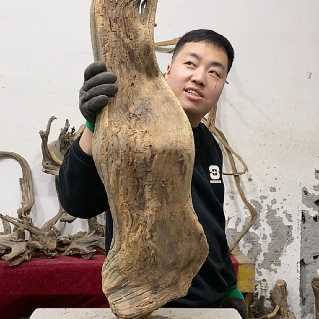 【闪购商品】柏木展****）我们都是好孩子